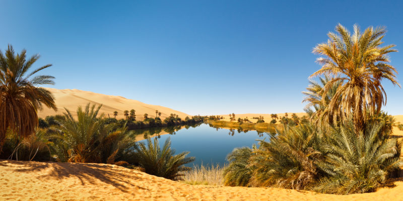 10 Características del Desierto