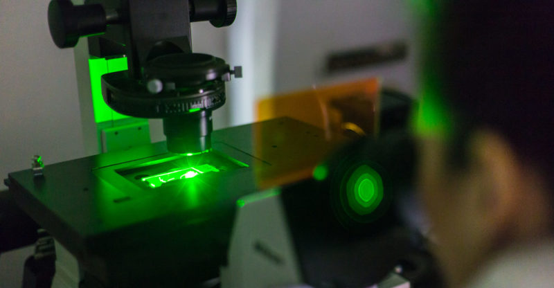 Microscopio fluorescente