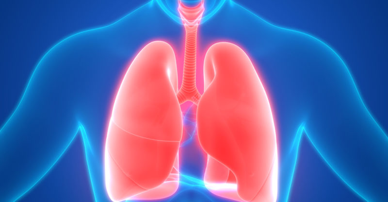 Sistema Respiratorio: Información, órganos, funciones, enfermedades