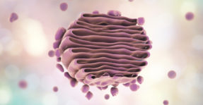 Aparato de Golgi 