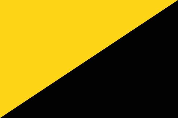 Bandera del capitalismo anarquio - Amarilla y negra