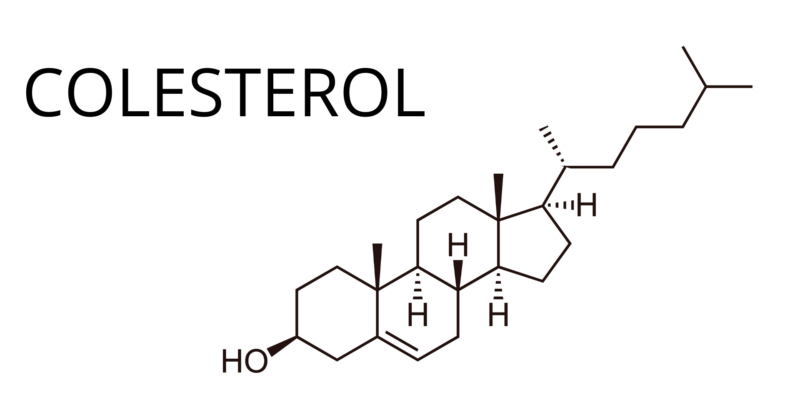 colesterol - alcanos