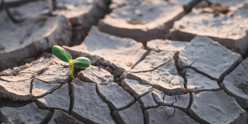 Sequía: tipos, causas, consecuencias y características