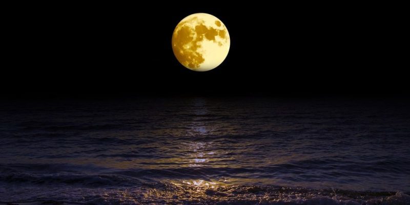 La luna y la marea