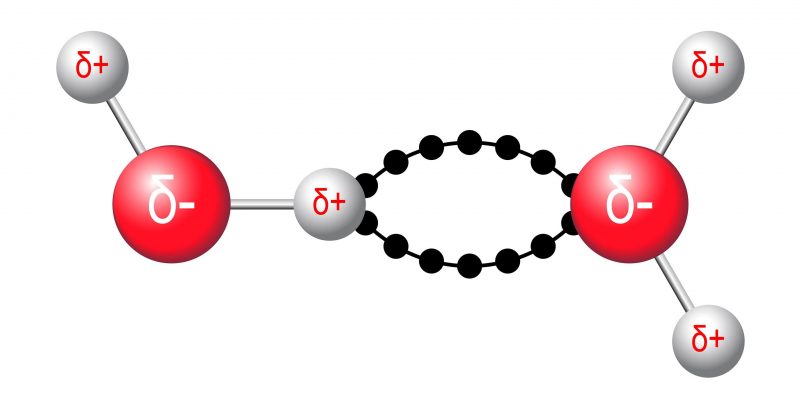 molecula puente de hidrogeno