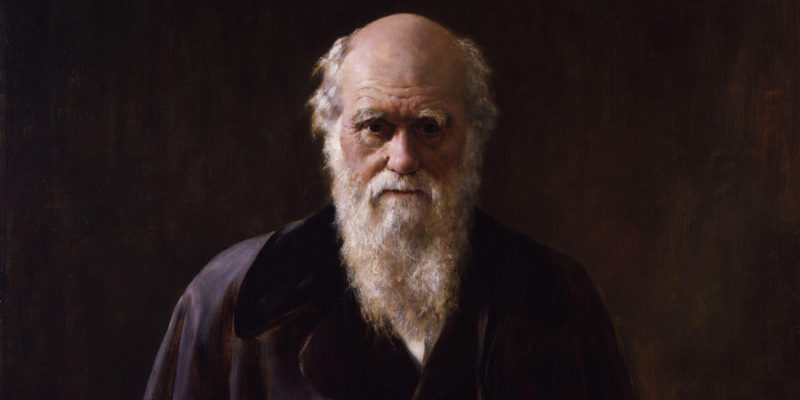Charles Darwin - zoología