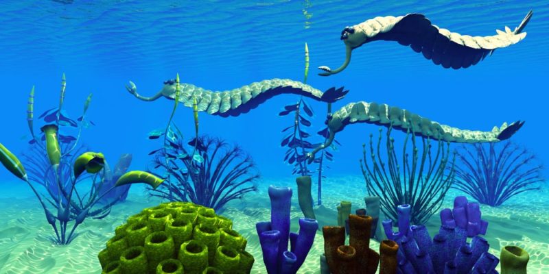 periodo carbonifero mares extincion