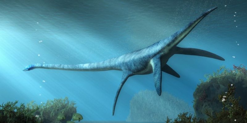 periodo jurasico fauna reptiles marinos plesiosaurio