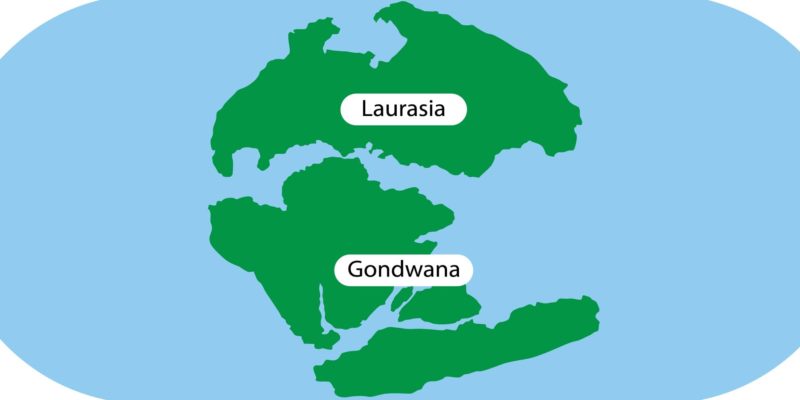 periodo jurasico pangea laurasia gondwana