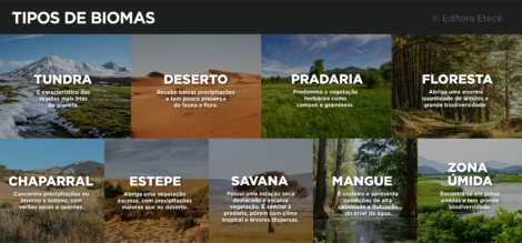 Biomas: o que são e sua importância