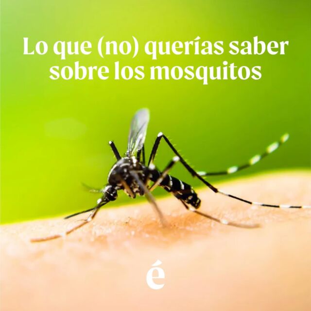 ¿Sabías que el mosquito es el animal que causa más muertes humanas? 

¡Cerca de un millón por año!

Lo que no sabías sobre los mosquitos… probablemente no lo querías saber.