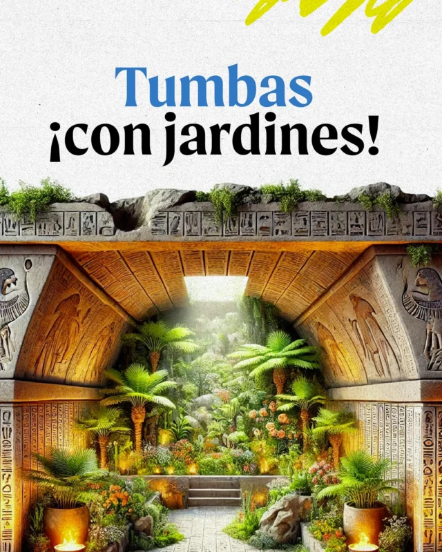 Los egipcios realizaban ritos funerarios muy específicos, como la momificación, porque creían que eran necesarios para que el difunto continuara su vida en el más allá.

En 2017, un descubrimiento en Egipto trajo una nueva certeza sobre esta práctica tan común en la civilización egipcia: muchas tumbas tenían sus propios jardines. 

Algunos creen que eran símbolo de resurrección y vida eterna, otra teoría afirma que era una forma de sustento alimenticio que se le brindaba al difunto para sobrevivir en el más allá. También hay quienes afirman que tenían una función mágica. 

Entre los restos alqueológicos que confirmaron esta teoría se encontraron troncos, semillas, restos de flores, ¡y hasta escaleras dispuestas especialmente para regar las plantas!

Actualmente, se puede visitar el sitio arqueológico que contiene la tumba de Djehuty y contemplar una réplica del jardín, instalada encima del jardín original (que volvió a ser enterrado por motivos de conservación).

#civilizacionegipcia #piramidesegipto